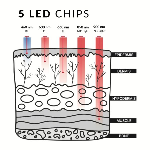 HDGLO-5LEDCHIPS-600x600